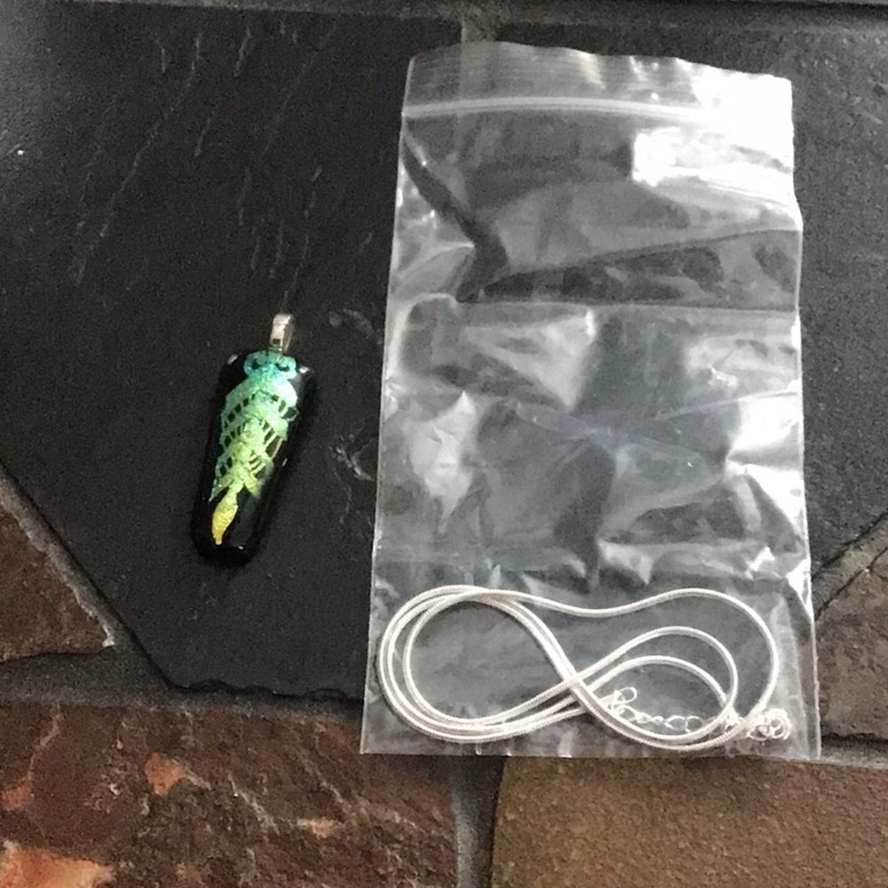 Fused glass pendant with 18” chain